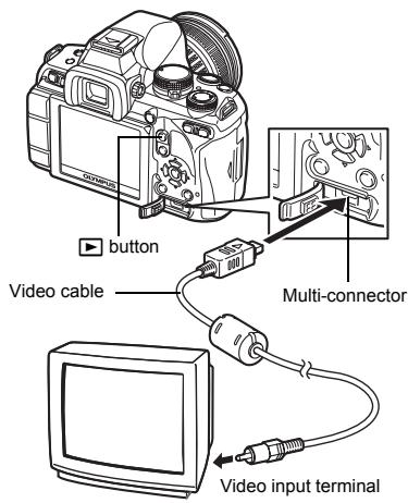button Video cable Multi-connector Video input terminal