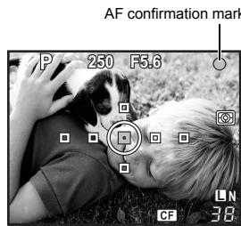 AF confirmation mark P 250 F5.6 LN 38 CF