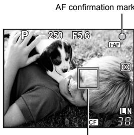 AF confirmation mark P 250 F5.6 I-AF CF 38