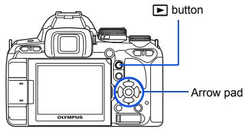 button Arrow pad Olympus