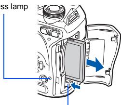 ss lamp