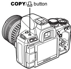 COPY/ button