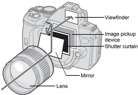 Viewfinder Image pickup device Shutter curtain Mirror Lens