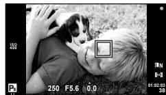 OLYMPUS E-PL3 - Program shift (Ps) - 1