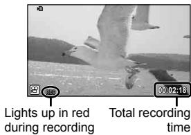 OLYMPUS E-PL3 - Recording movies with the shutter button - 2