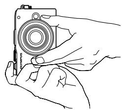 OLYMPUS E-PL3 - Frame the shot. - 2