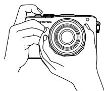 OLYMPUS E-PL3 - Frame the shot. - 1