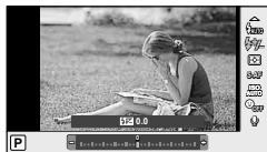 OLYMPUS E-PL3 - Adjusting flash output (Flash intensity control) - 1