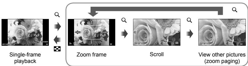 OLYMPUS E-PL3 - Playback zoom (close-up playback) - 1