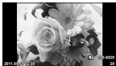 OLYMPUS E-PL3 - Single-frame playback - 3
