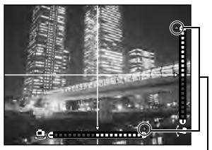 OLYMPUS E-5 - Monitor indication: - 1