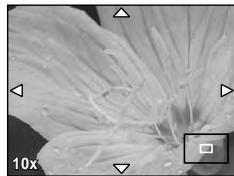 OLYMPUS E-5 - Enlarged display operation - 3