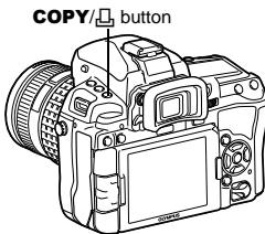 OLYMPUS E-5 - Single-frame copy - 1