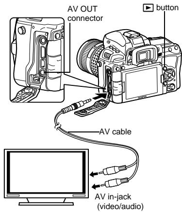 OLYMPUS E-5 - Playback on TV - 1