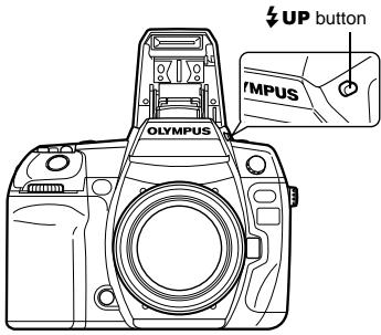 OLYMPUS E-5 - Built-in flash shooting - 1