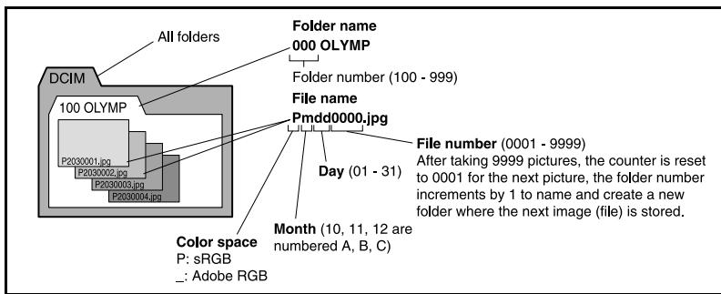 OLYMPUS E-5 - Notes - 1