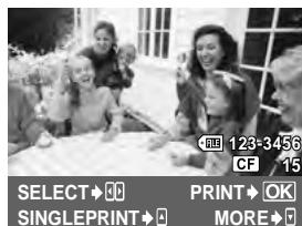 OLYMPUS E-5 - Selecting pictures you want to print - 1