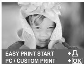 OLYMPUS E-5 - Press the  (print) button. - 1
