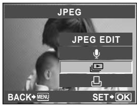 OLYMPUS E-5 - MENU  [D]  [D] - 1