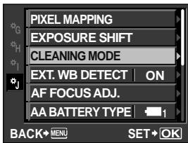 OLYMPUS E-5 - Cleaning mode - Removing dust - 1