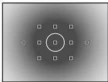 OLYMPUS E-5 - Spot metering - shadow control - 1