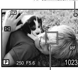 OLYMPUS E-5 - Press the shutter button all the way to take a picture. - 1