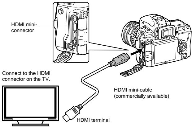 OLYMPUS E-5 - Connection via HDMI mini-cable - 1
