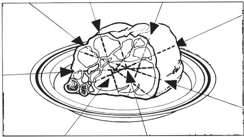 MIELE H 4080 BM - Favorites - 4
