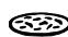 INDESIT FIE 76 P K.A IX - Programme GRATIN - 1