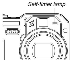 CASIO EX-P600 - Record the image. - 1