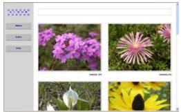 CASIO EX-P600 - Using the Album Feature - 1