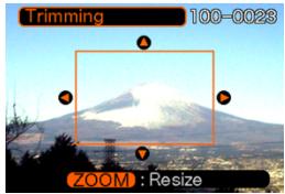 CASIO EX-P600 - Cropping an Image - 1