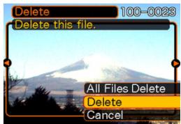 CASIO EX-P600 - Deleting a Single File - 1