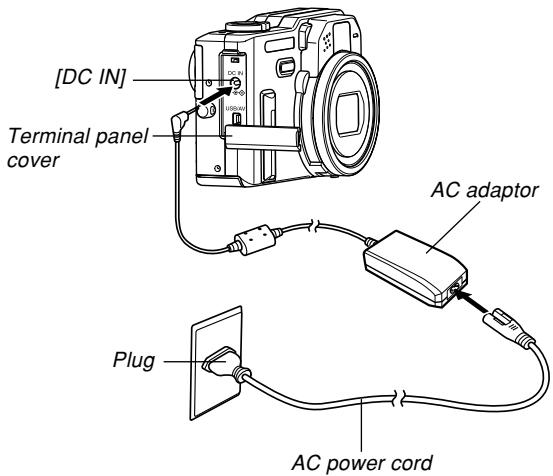 CASIO EX-P600 - IMPORTANT! - 1