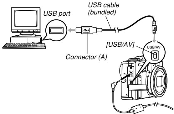 CASIO EX-P600 - IMPORTANT! - 2