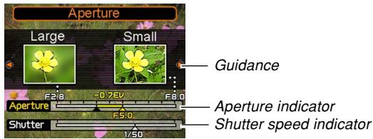 CASIO EX-P600 - Using Manual Assist On-screen Guidance - 1