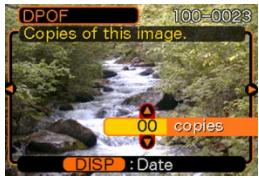 CASIO EX-P600 - To configure print settings for a single image - 2