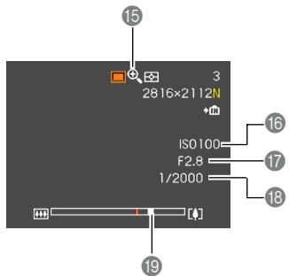 CASIO EX-P600 - Focus frame - 1