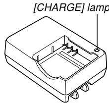 CASIO EX-P600 - Rapid Charger Unit - 2