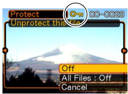 CASIO EX-P600 - To protect a single file - 2