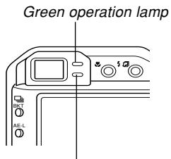 CASIO EX-P600 - Indicator Lamp Reference - 1