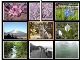 CASIO EX-P600 - Selecting a Specific Image in the 9-image View - 1