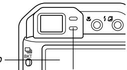CASIO EX-P600 - Flash Unit Status - 1