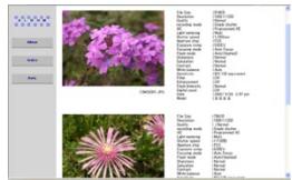 CASIO EX-P600 - Using the Album Feature - 3