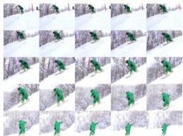 CASIO EX-P600 - 25-shot Stop Action Images (Using the Multi Continuous Shutter Mode) - 1