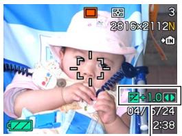 CASIO EX-P600 - Exposure Compensation (EV Shift) - 2