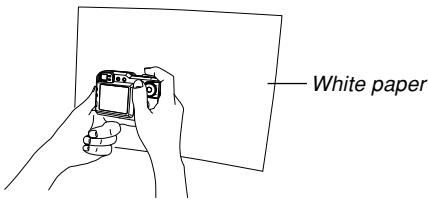 CASIO EX-P600 - Adjusting White Balance Manually - 2