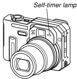 CASIO EX-P600 - Indicator Lamps - 1
