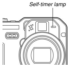 CASIO EX-P600 - Indicator Lamp Reference - 2