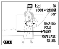 CASIO EX-P600 - Compose the image on the monitor screen so the main subject is within the focus frame. - 1